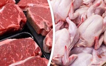 افزایش ۲۴درصدی عرضه گوشت 