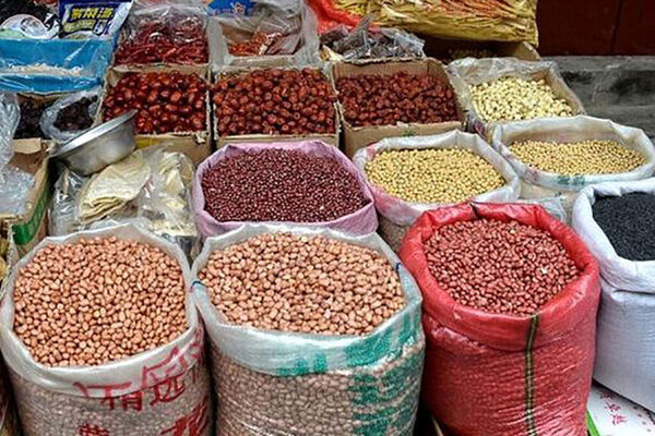حباب حبوبات چقدر رشد می‌کند