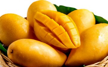 شرط سازمان حفظ نباتات برای واردات این میوه+اطلاعیه