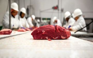 گوشت‌های وارداتی به تب برفکی آلوده است؟/شایعات دامن بازار گوشت را گرفت