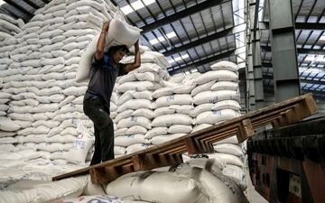 دستور توقف واردات برنج/ قیمت برنج هندی نجومی می‌شود؟