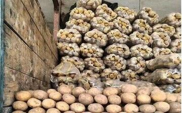 خروج بازار سیب‌زمینی از بحران/ قیمت پیاز تعادلی شد