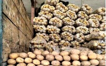 خروج بازار سیب‌زمینی از بحران/ قیمت پیاز تعادلی شد