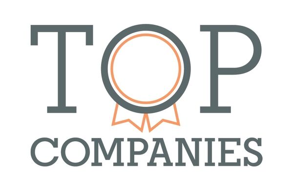 لیست 500 شرکت برتر ایرانی / پتروشیمی خلیج فارس در صدر