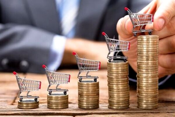 کنترل بازارها از دست دولت خارج شده / گوشت ۶۰۰ هزار تومانی توجیه ندارد