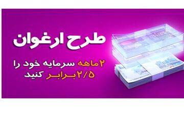 حمایت ارغوانی از کسب و کارهای خرد