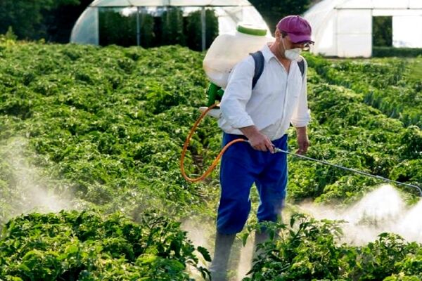 تولید ۴۰۰ هزارتن سم معادل ۱۰ برابر نیاز کشور