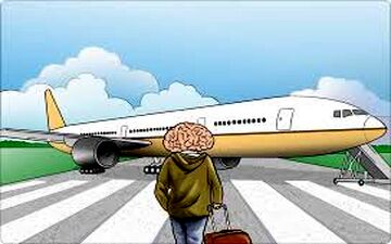مهاجرت ۸۰درصدی رتبه برتری های کنکور/ پزشکان و فعالان استارتاپی در صدر مهاجران