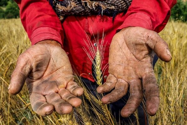 درآمد روستاییان از شهری‌ها بیشتر شد!