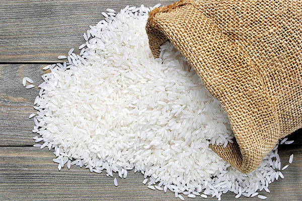 ضعف برنج ایرانی در کسب شاخص‌های استانداردهای بین‌المللی