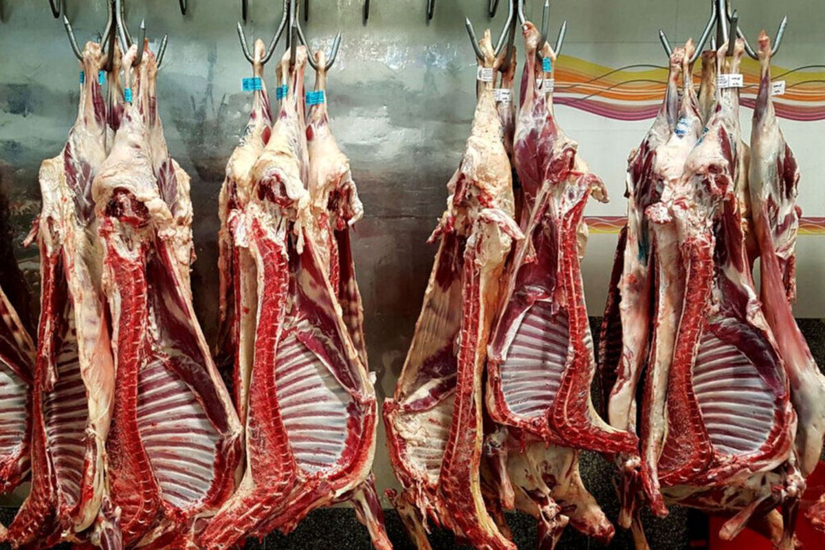 شرایط جدید دولت برای واردات گوشت قرمز +جزییات