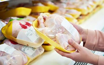 تعدیل قیمت‌ها در بازار مرغ و تخم‌مرغ