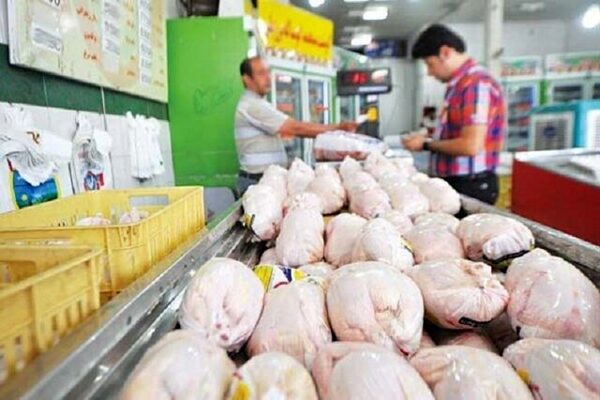 روایت رئیس اتحادیه پرنده و ماهی از کاهش قیمت مرغ