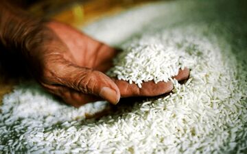 نیاز ۸۰۰هزار تنی بازار برنج به واردات 
