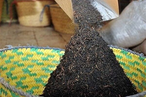 واکنش رسمی قوه قضاییه به فساد مالی بزرگ در واردات چای + فیلم