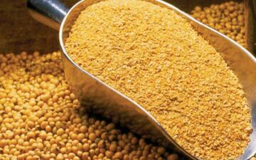 لغو ممنوعیت صادرات سبوس برنج+ابلاغیه 