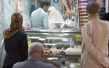 روایت مرکز آمار از افزایش تولید و  عرضه مرغ