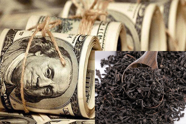 واکنش رییس دستگاه قضا به اختلاس بزرگ در صنعت چای / اژه‌ای: با متخلفان برخورد می‌شود + فیلم 