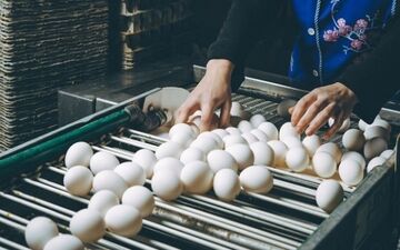 اعلام قیمت هرکیلو تخم مرغ درب واحدهای مرغداری