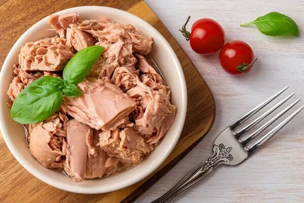تاکید بر ضرورت ساده‌سازی واردات و صادرات تن ماهی