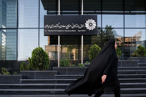 انتقاد شدید  عضو اتاق ایران از برخورد شورای عالی نظارت + فیلم
