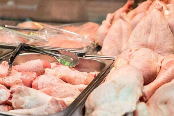 نتیجه معکوس قیمت‌گذاری دستوری در بازار مرغ