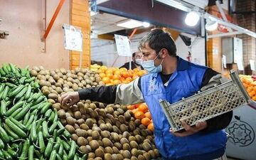 افزایش ۳۰درصدی قیمت پیاز و گوجه فرنگی