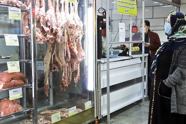 روایت رئیس اتحادیه از قیمت‌ گوشت گوسفندی در بازار