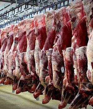 اعلام نرخ عجیب گوشت قرمز/علت گران‌فروشی چیست؟
