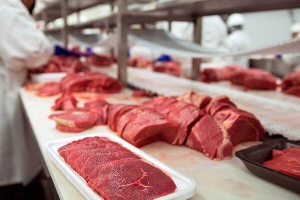 چرا گوشت یخ زده وارداتی گران‌تر است؟