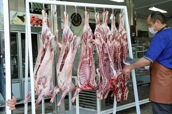 تاثیر توزیع گوشت وارداتی روی بازار + جدول