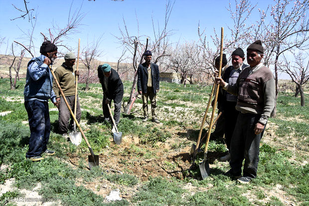 پوشش بیمه جدید برای این گروه از افراد+جزییات 