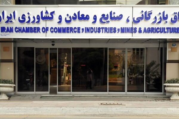 روایت خبرگزاری دولت از پشت پرده برکناری سلاح ورزی +فیلم
