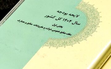 رشد ۷۰درصدی بودجه شرکت‌های دولتی/زیان کدام شرکت‌ها پابرجاست؟