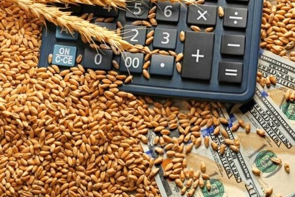 کاهش قیمت جهانی مواد غذایی/ انفجار قیمت برنج