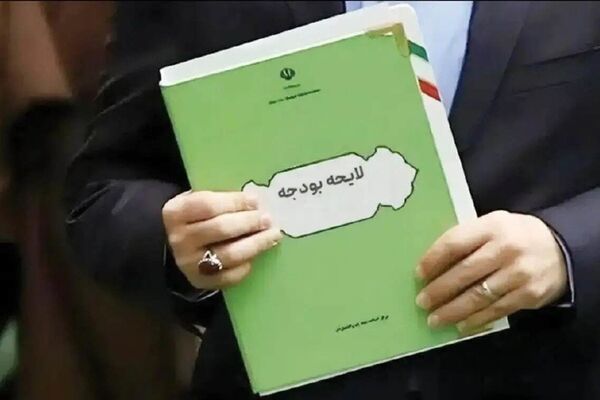 مساله بودجه ۱۴۰۶ تقسیم درآمد میان دستگاه‌ها نیست