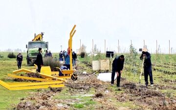 مخالفت دوباره سازمان محیط زیست با احداث پتروشیمی میانکاله