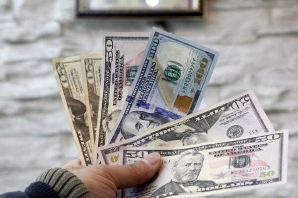 آشفتگی قیمت دلار در بازار / بازدهی سکه دو رقمی شد