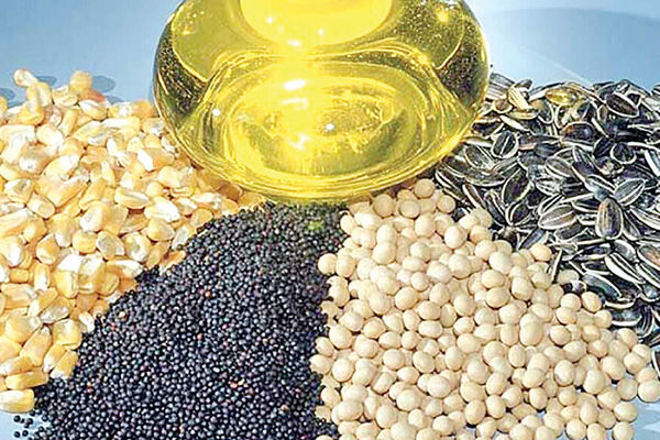 تسری افزایش قیمت جهانی روغن به بازارهای داخلی