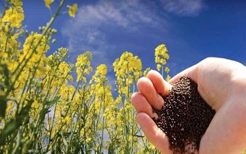 هلدینگ کشاورزی کوثر برای همکاری با شرکت‌های عمانی به توافق رسید