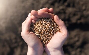 ابلاغیه جدید دولت درباره امنیت غذایی کشور