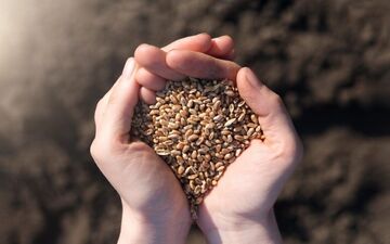 ابلاغیه جدید دولت درباره امنیت غذایی کشور