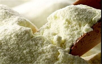 کمبود ارزی بیش از ۲۰۰ میلیون دلاری تولیدکنندگان شیرخشک