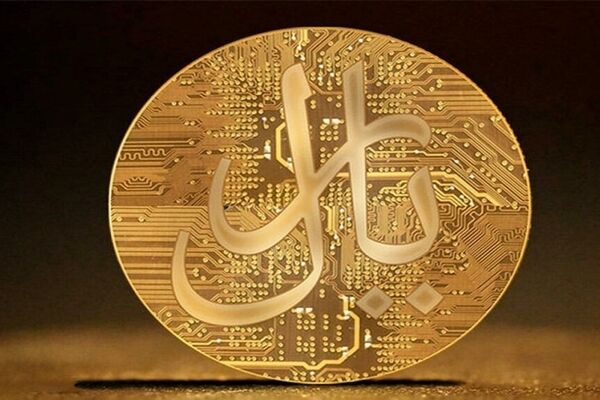 وعده فرزین درباره عملیاتی شدن ریال دیجیتال 