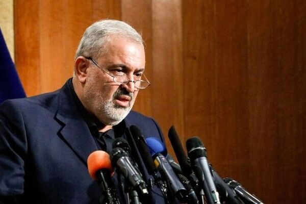 وزیر صمت: با شنیدن اسم خودرو وارداتی، کهیر می‌زنم