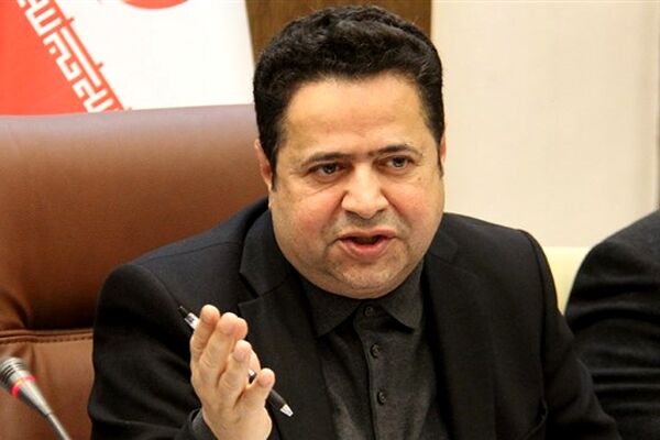 دولت بدون بخش خصوصی نمی‌تواند جهش تولید را رقم بزند 