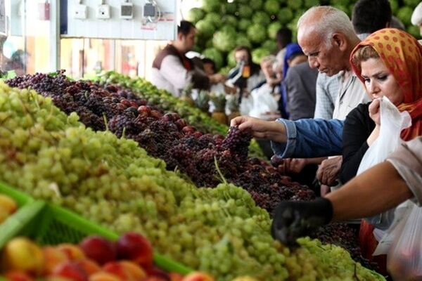 بازار میوه عید قربان نوسانی ندارد