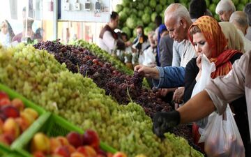 بازار میوه عید قربان نوسانی ندارد