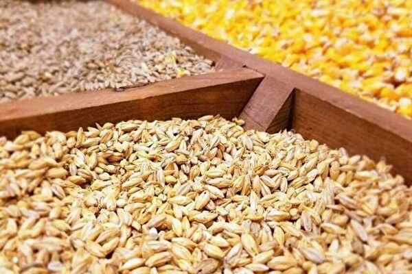 ممنوعیت خرید و فروش نهاده در بازار آزاد