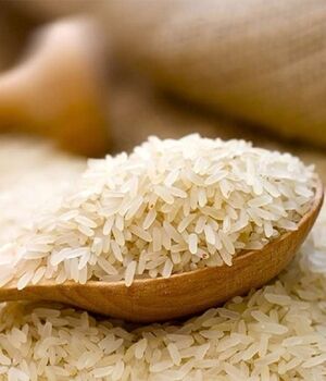 واردات بذر برنج از چین/تولید برنج مقاوم به خشکی 
